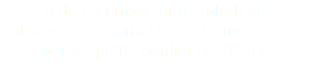 Aide à surmonter les phobies, obscessions, timidité. Retrouver étape par étape sa confiance en soi.